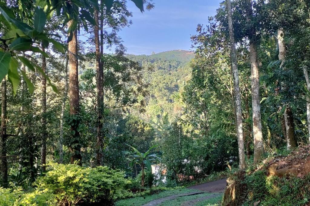 Coffee Camp Home Stay With Tree House Kattappana Dış mekan fotoğraf