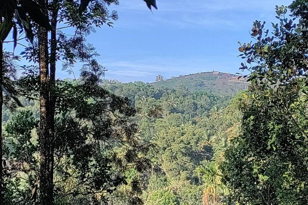Coffee Camp Home Stay With Tree House Kattappana Dış mekan fotoğraf