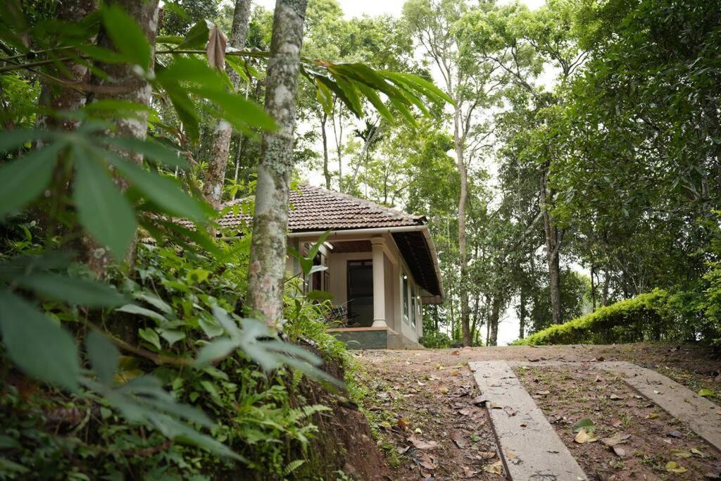 Coffee Camp Home Stay With Tree House Kattappana Dış mekan fotoğraf