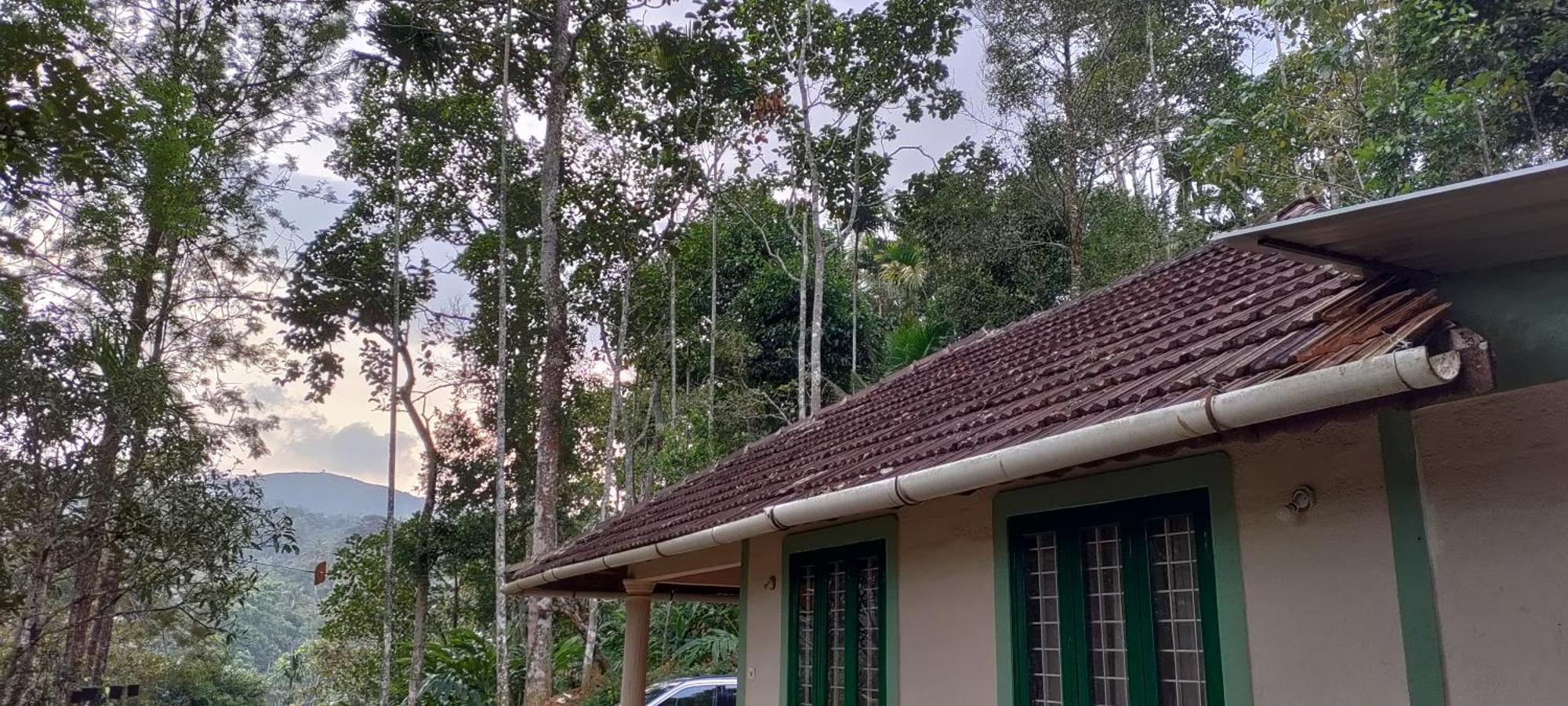 Coffee Camp Home Stay With Tree House Kattappana Dış mekan fotoğraf