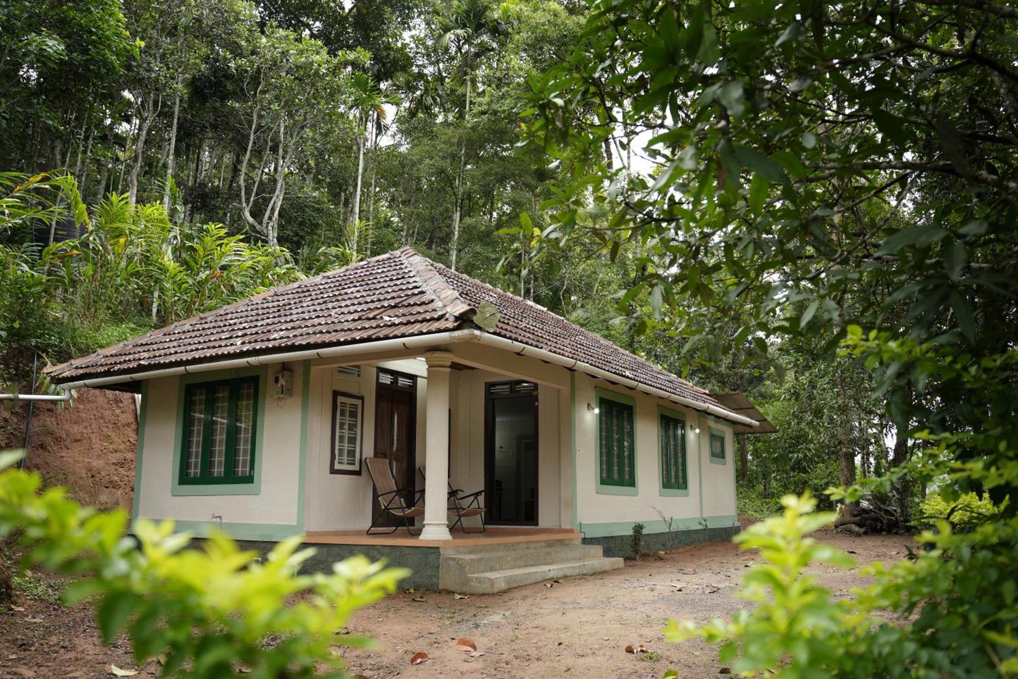 Coffee Camp Home Stay With Tree House Kattappana Dış mekan fotoğraf