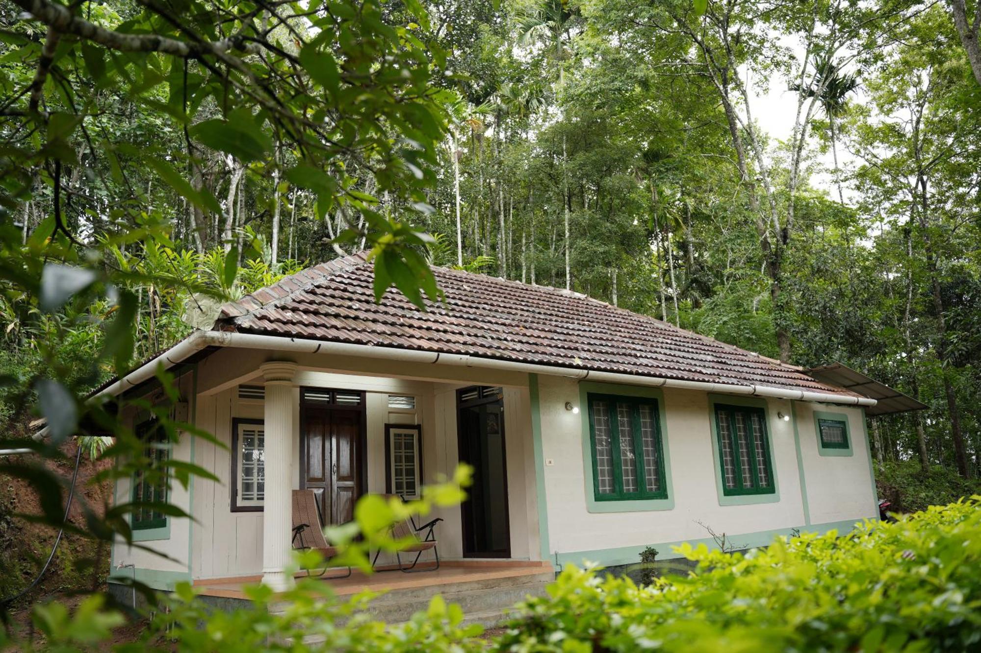 Coffee Camp Home Stay With Tree House Kattappana Dış mekan fotoğraf
