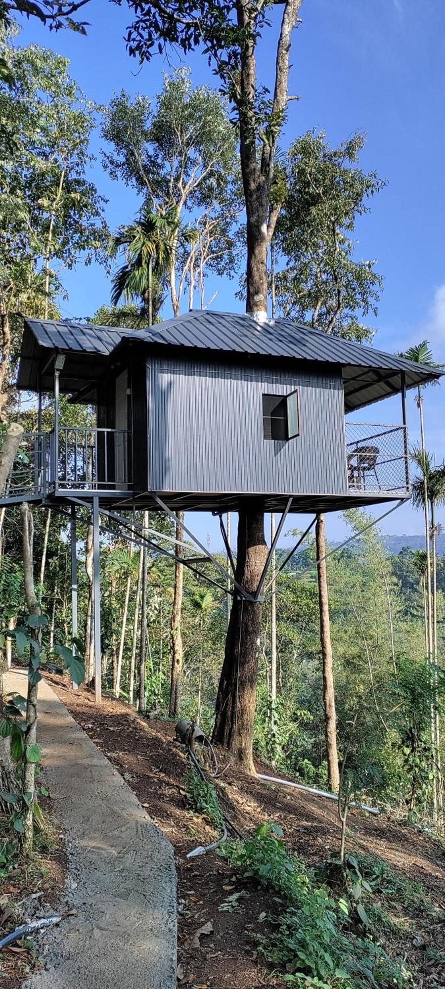 Coffee Camp Home Stay With Tree House Kattappana Dış mekan fotoğraf