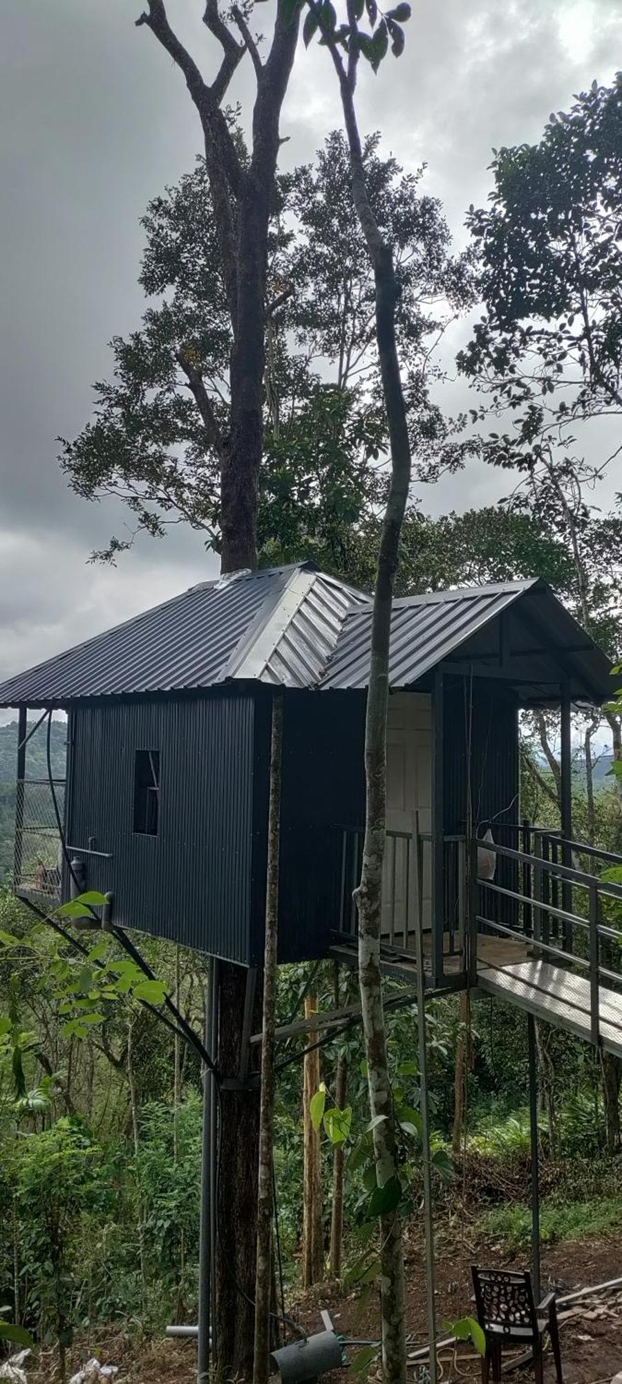 Coffee Camp Home Stay With Tree House Kattappana Dış mekan fotoğraf