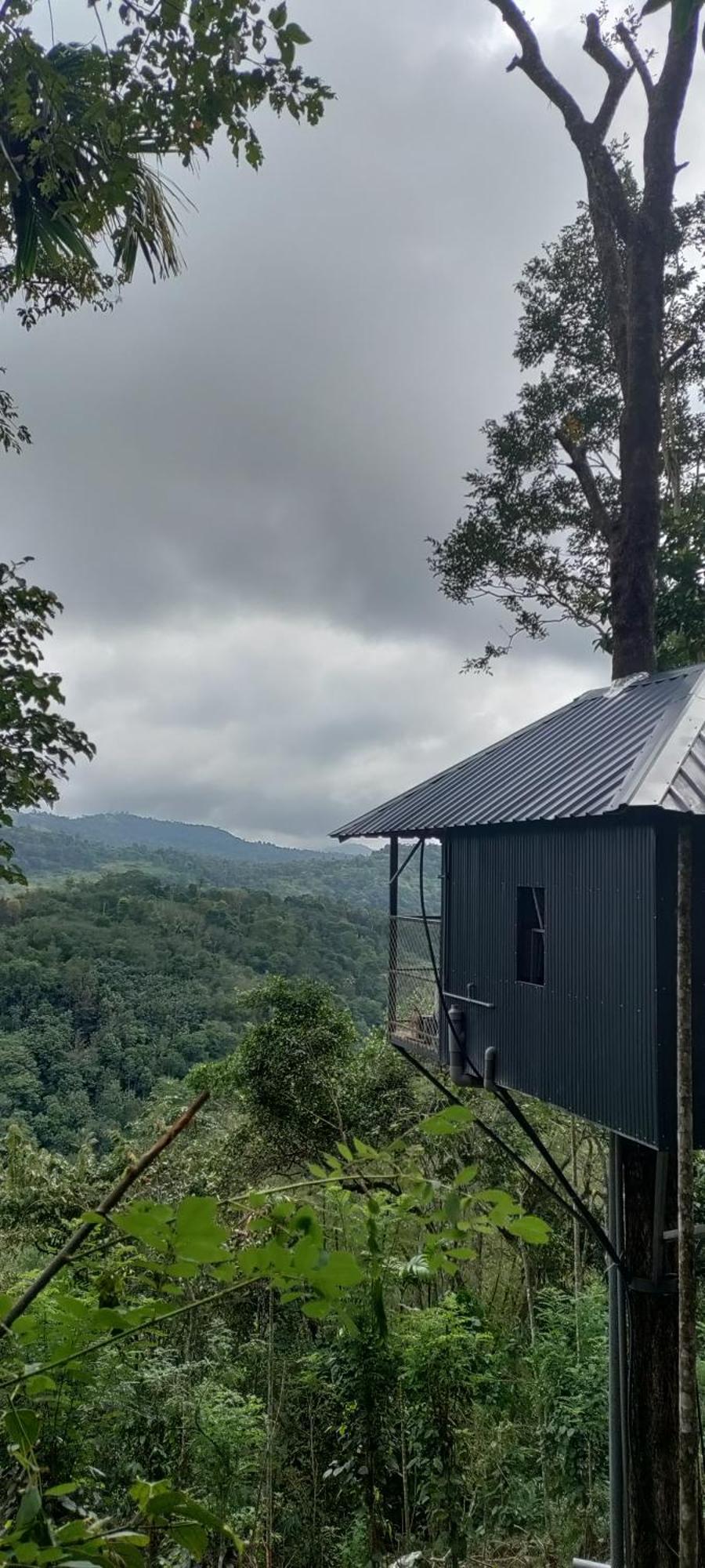 Coffee Camp Home Stay With Tree House Kattappana Dış mekan fotoğraf