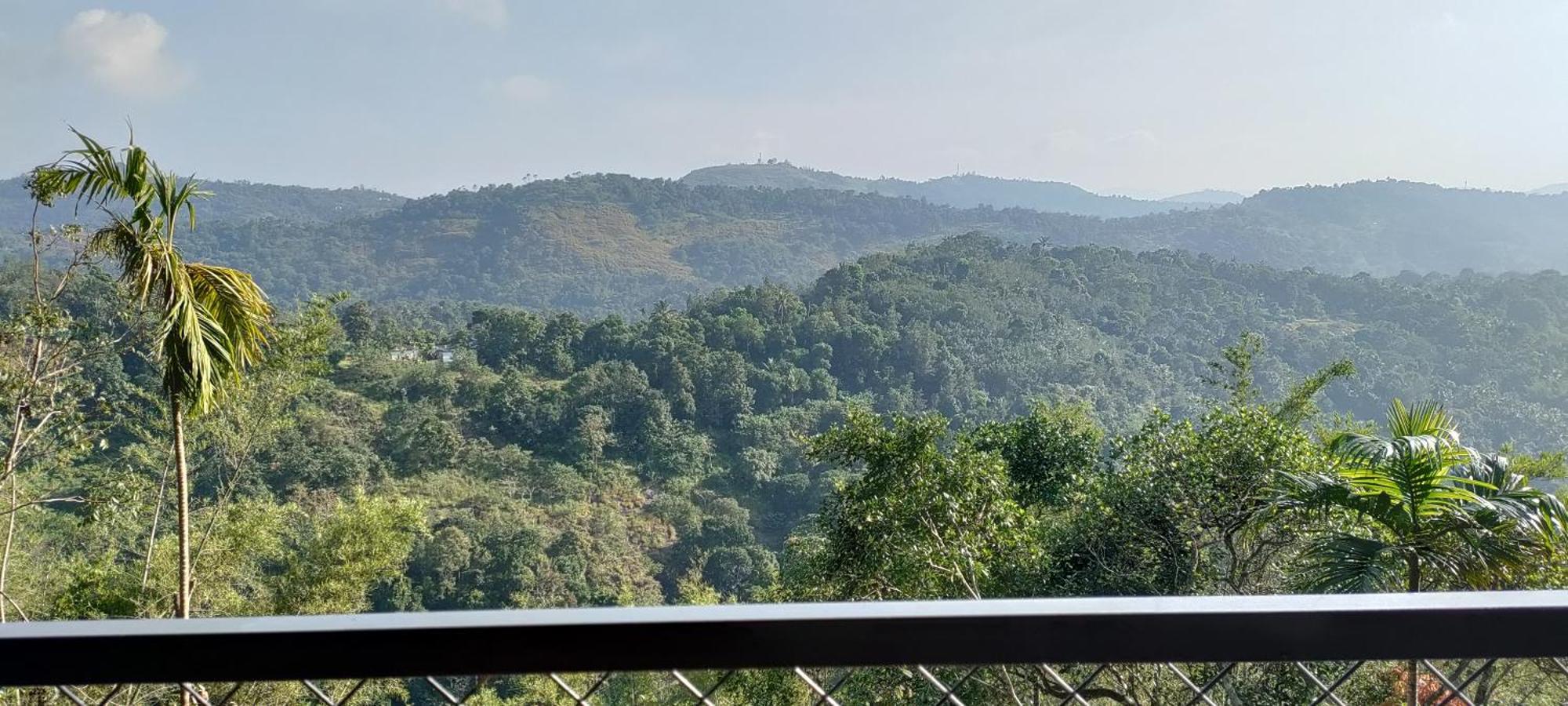 Coffee Camp Home Stay With Tree House Kattappana Dış mekan fotoğraf